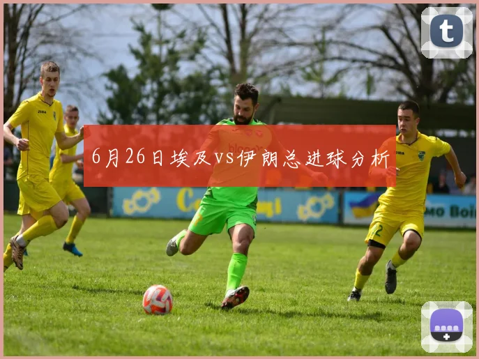 6月26日埃及vs伊朗总进球分析