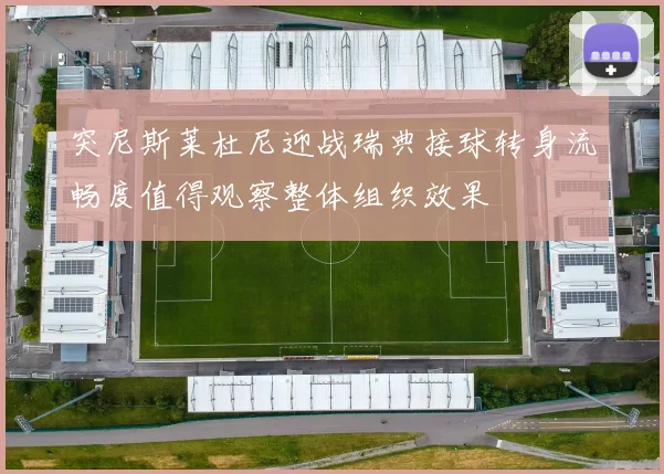 突尼斯莱杜尼迎战瑞典接球转身流畅度值得观察整体组织效果